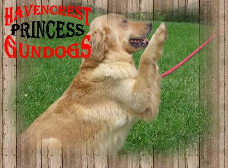 Princess